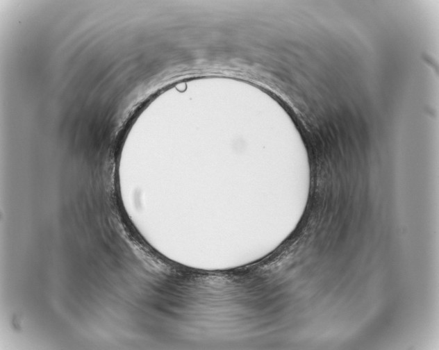 X0000093361507200711081503