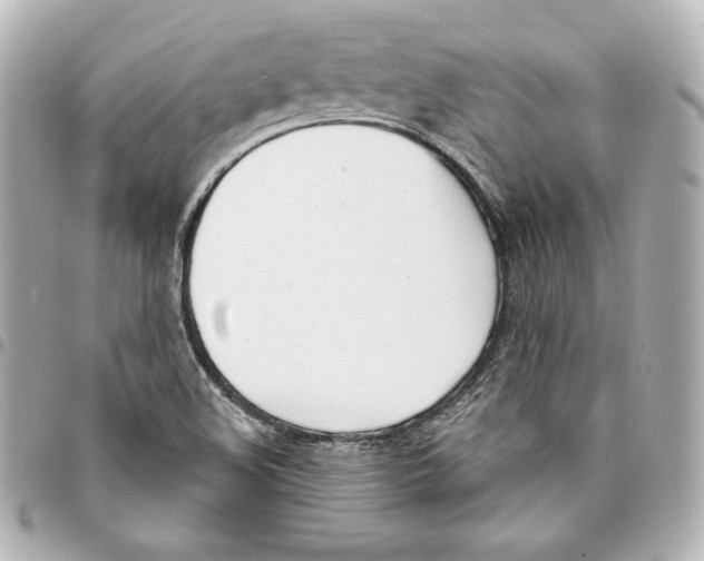 X0000093361508200711081503