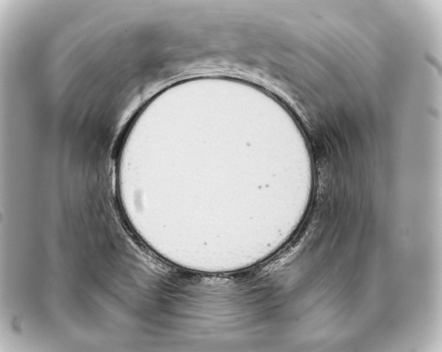 X0000093361509200711081503