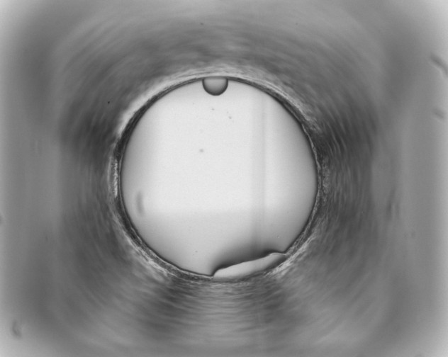 X0000093361510200711081503