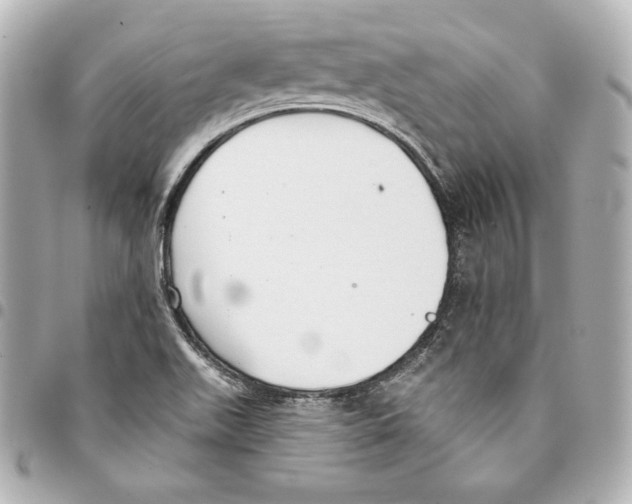 X0000093361511200711081503