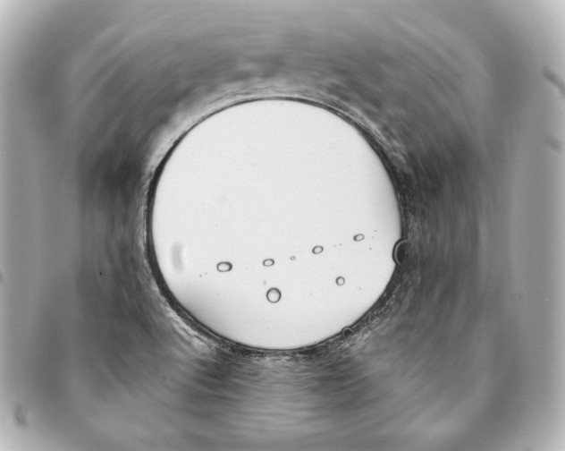 X0000093361512200711081503