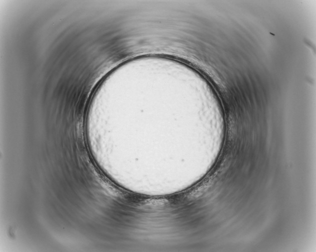 X0000093361513200711081503