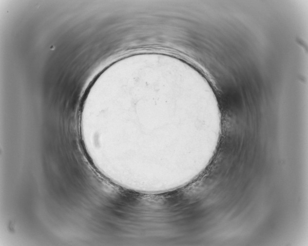 X0000093361514200711081503