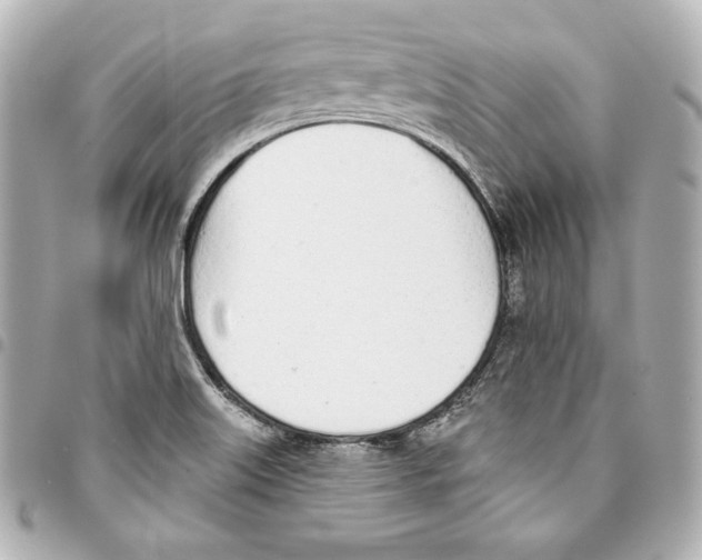 X0000093361515200711081503