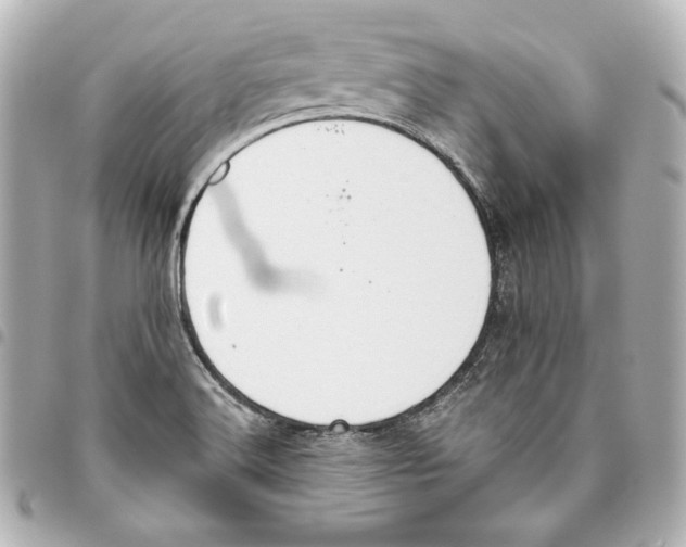 X0000093361516200711081503