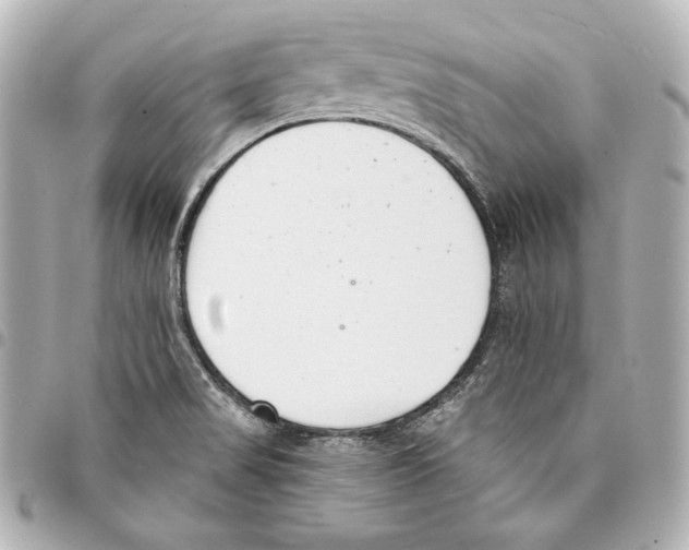 X0000093361517200711081503