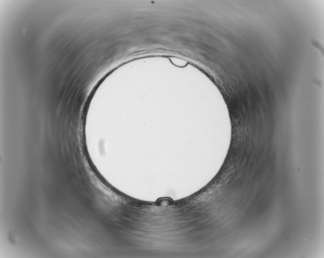 X0000093361518200711081503