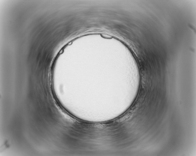 X0000093361519200711081503