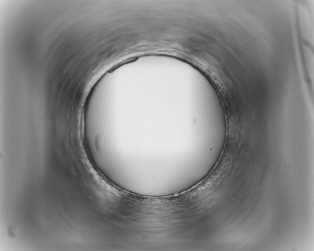 X0000093361520200711081503