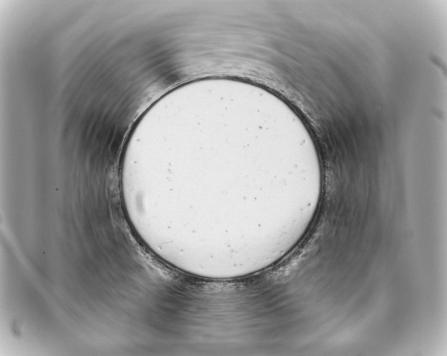 X0000093361521200711081503