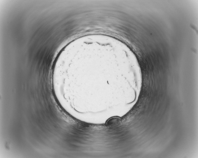 X0000093361522200711081503