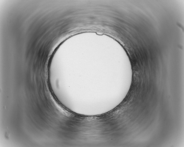 X0000093361523200711081503