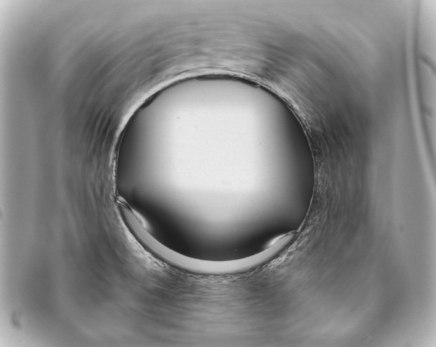 X0000093361524200711081503