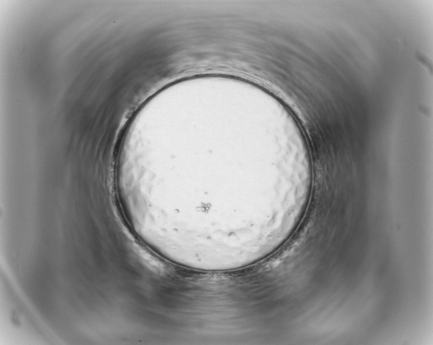 X0000093361525200711081503