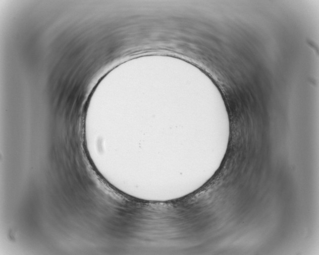 X0000093361526200711081503