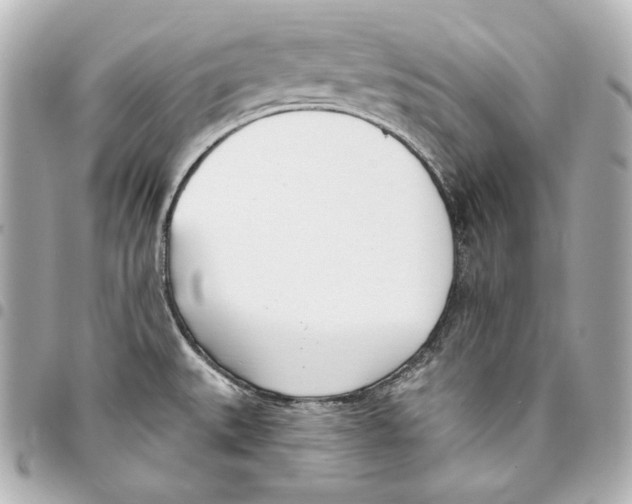 X0000093361527200711081504