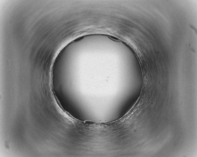 X0000093361528200711081504