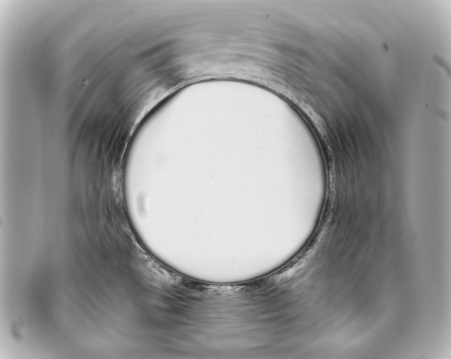 X0000093361529200711081504