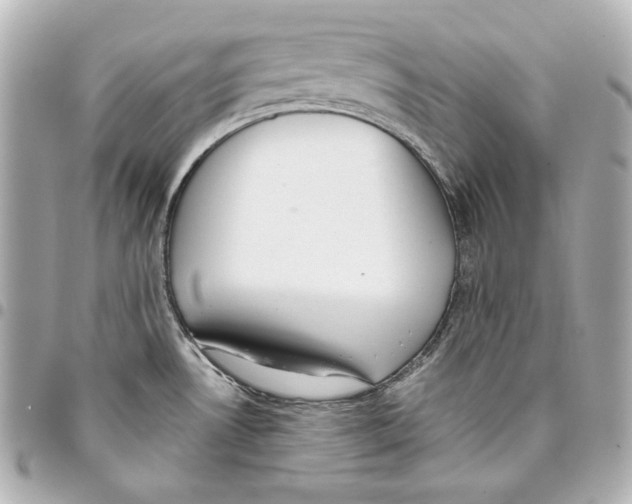 X0000093361530200711081504