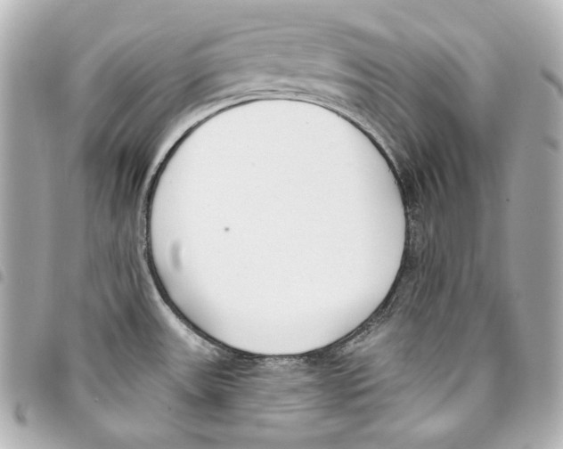 X0000093361531200711081504