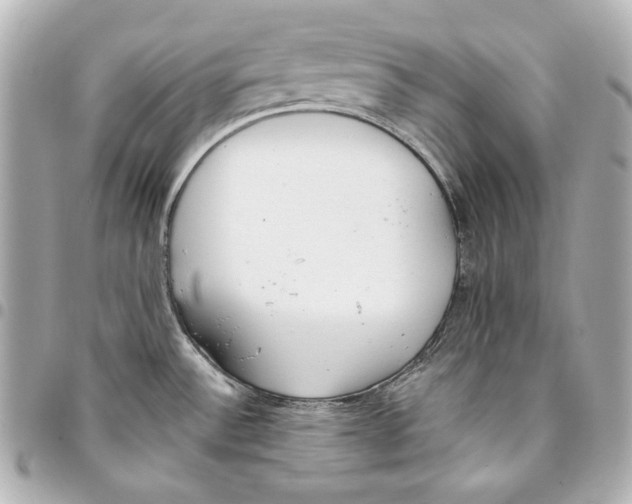 X0000093361532200711081504