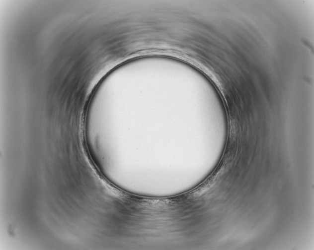 X0000093361533200711081504