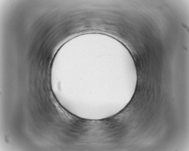 X0000093361534200711081504