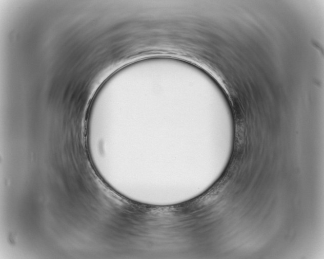 X0000093361535200711081504