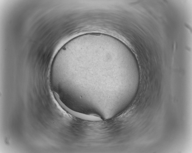 X0000093361536200711081504