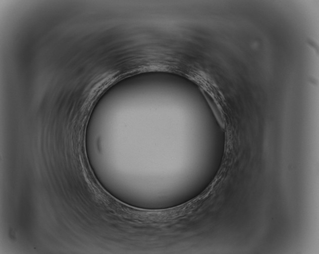 X0000093370001200710111335