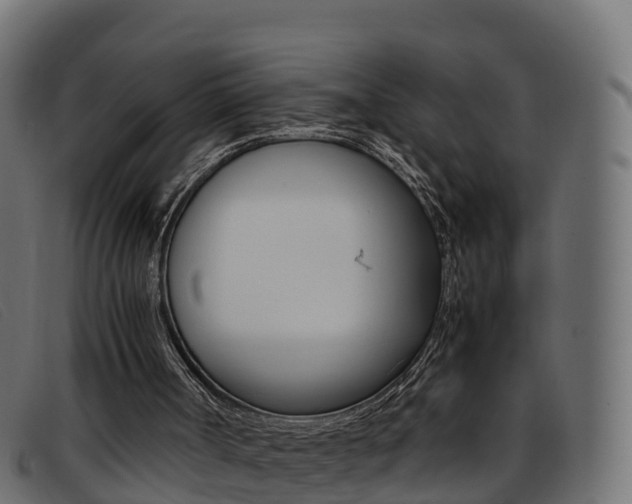 X0000093370002200710111335