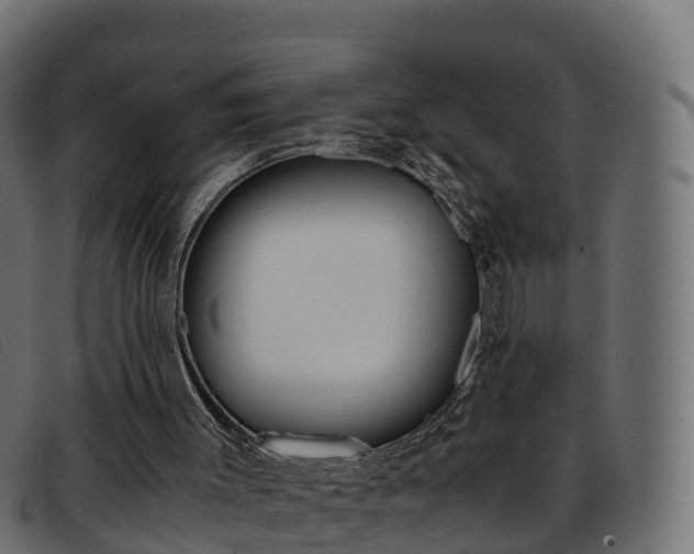X0000093370003200710111335