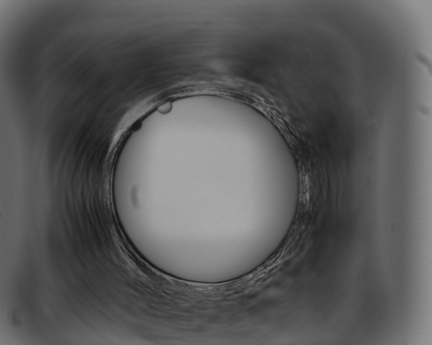 X0000093370004200710111335