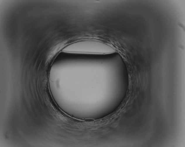 X0000093370005200710111335