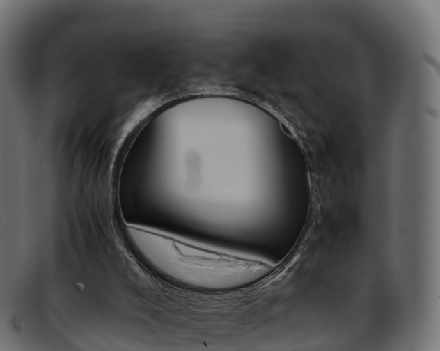 X0000093370008200710111335