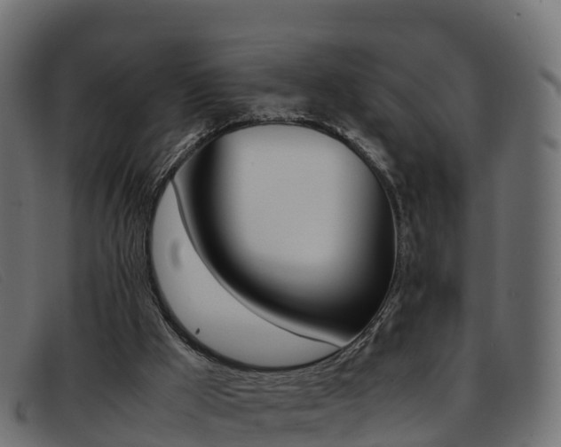 X0000093370009200710111335