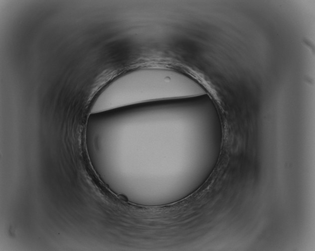 X0000093370010200710111335