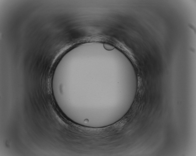 X0000093370012200710111335