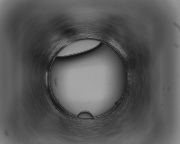 X0000093370014200710111335