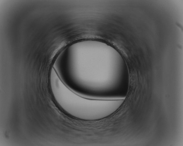 X0000093370015200710111335