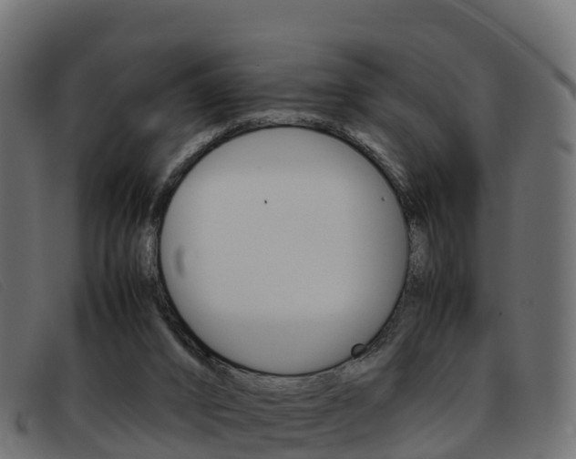 X0000093370016200710111335