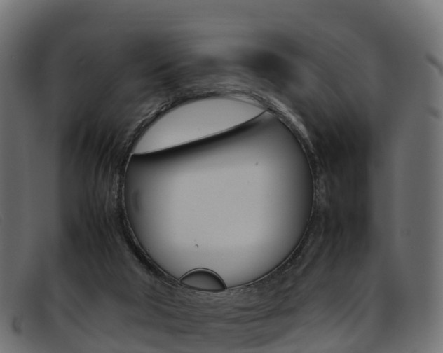 X0000093370018200710111335