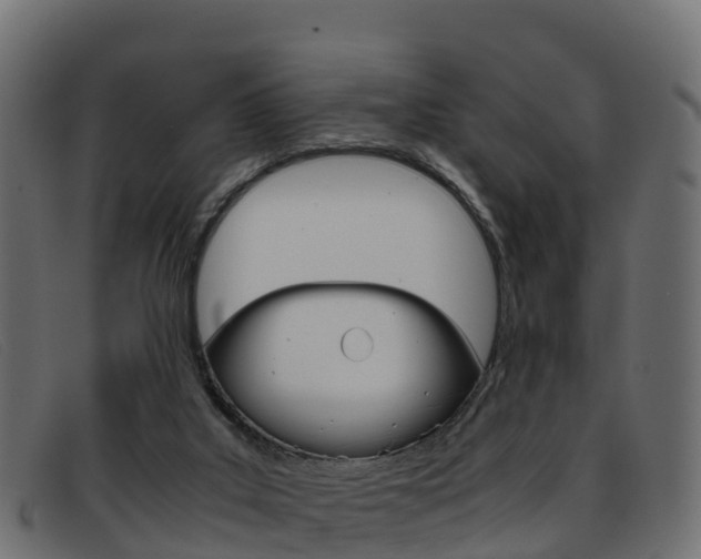 X0000093370019200710111335