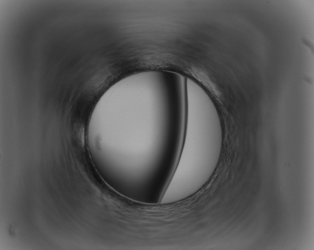 X0000093370021200710111335