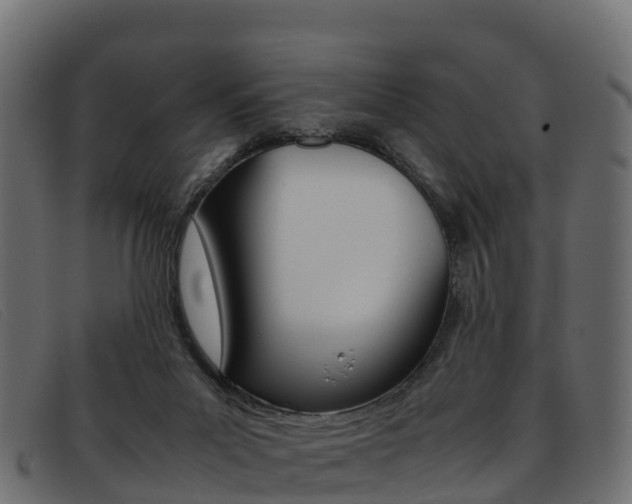 X0000093370023200710111335