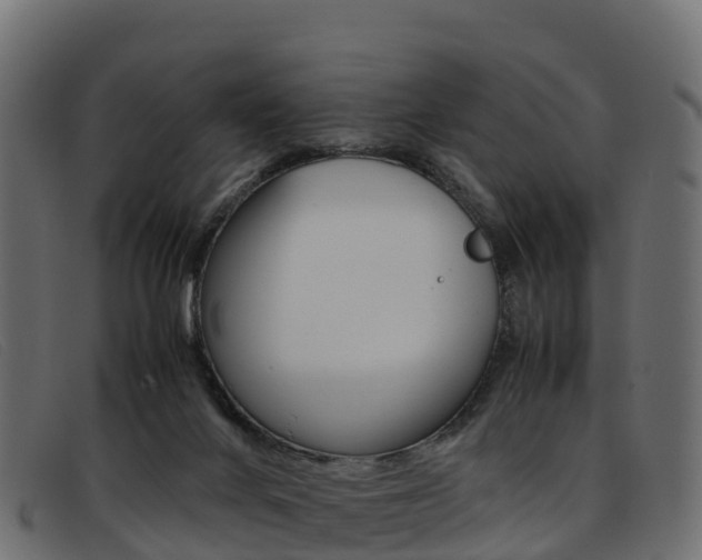 X0000093370024200710111335