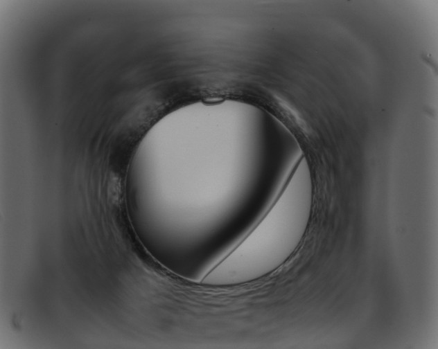 X0000093370025200710111335