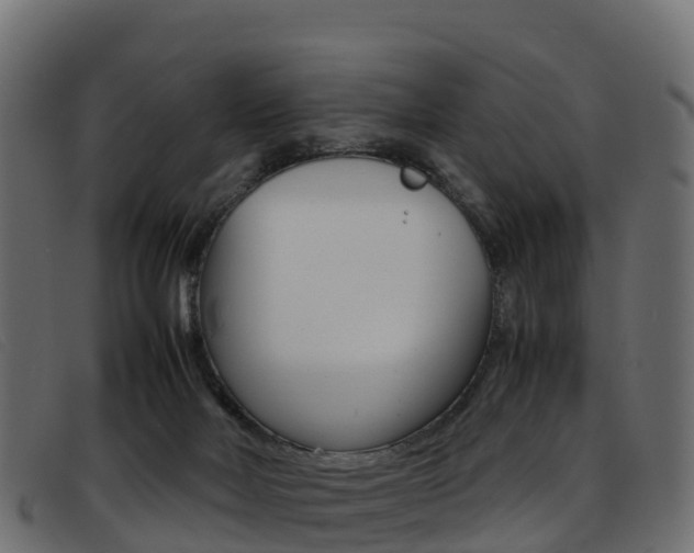 X0000093370026200710111335