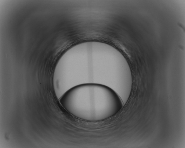 X0000093370027200710111335